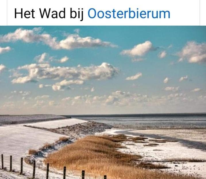 4-Persoons Vakantiehuisje Simmerwille Tzummarum エクステリア 写真